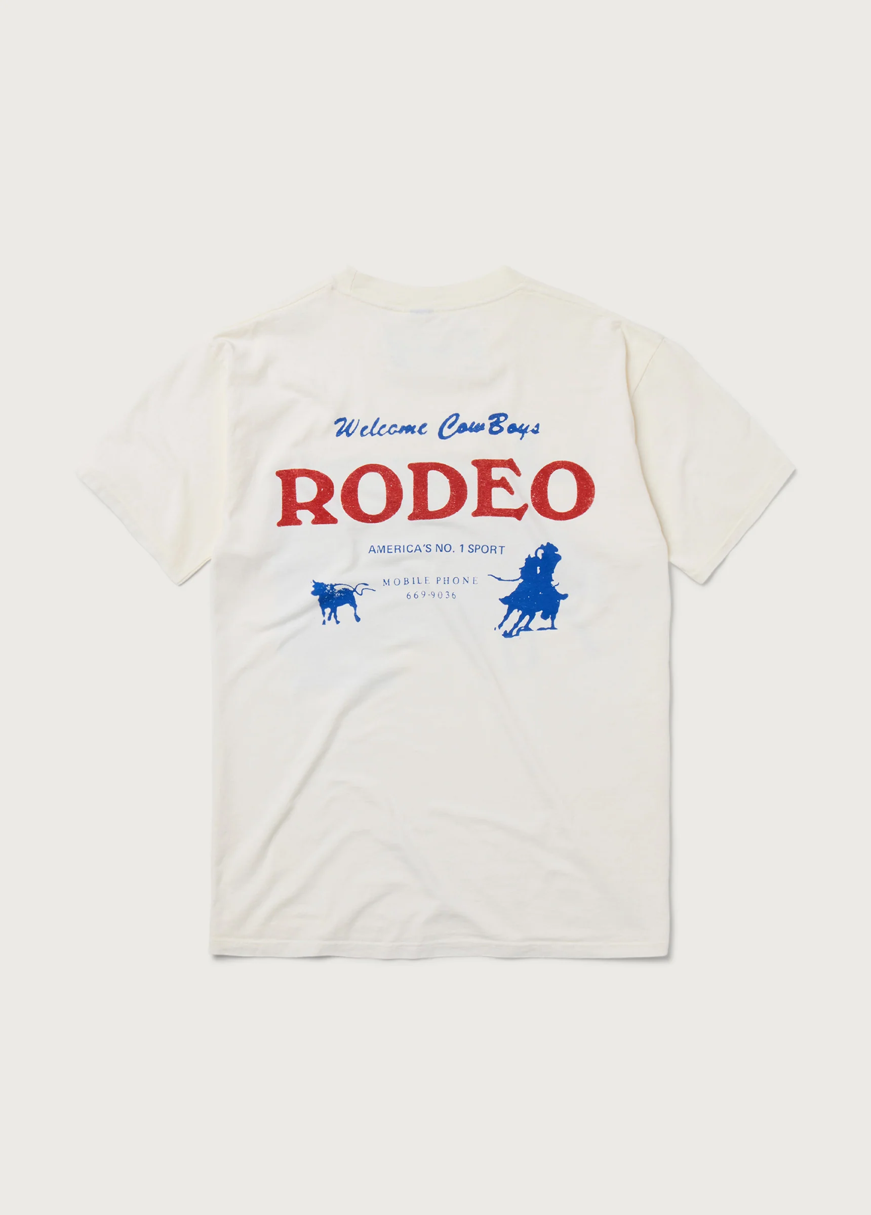 America's Sport T-Shirt | Bone - Image 2