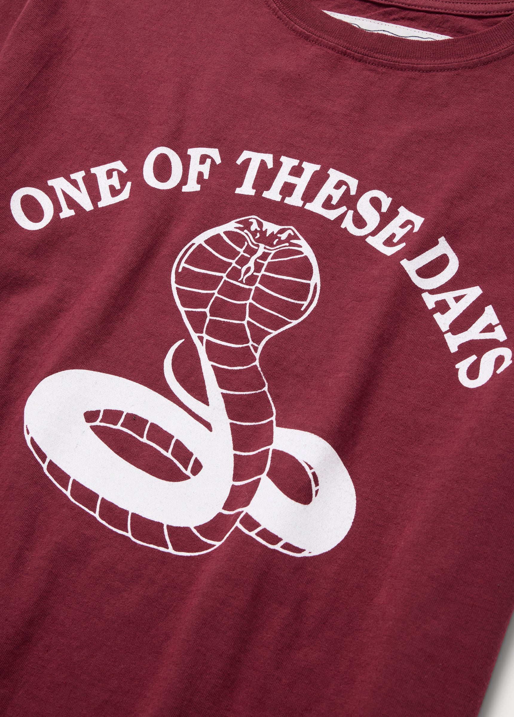 Cobra T-Shirt | Burgundy - Image 2