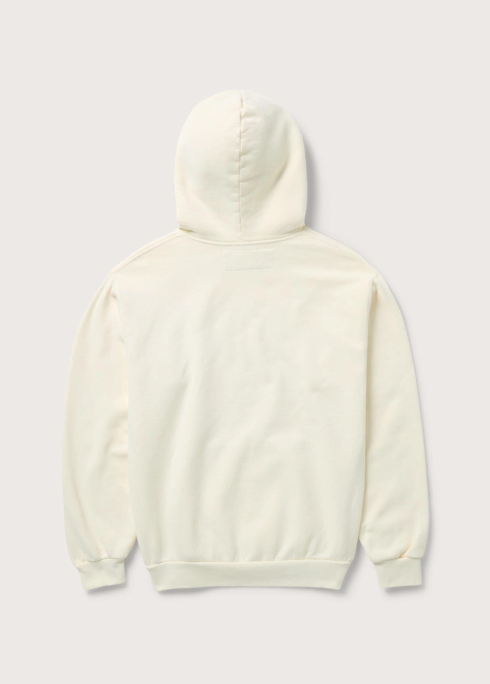 Could Only Remember Hooded Sweatshirt | Bone - Image 2