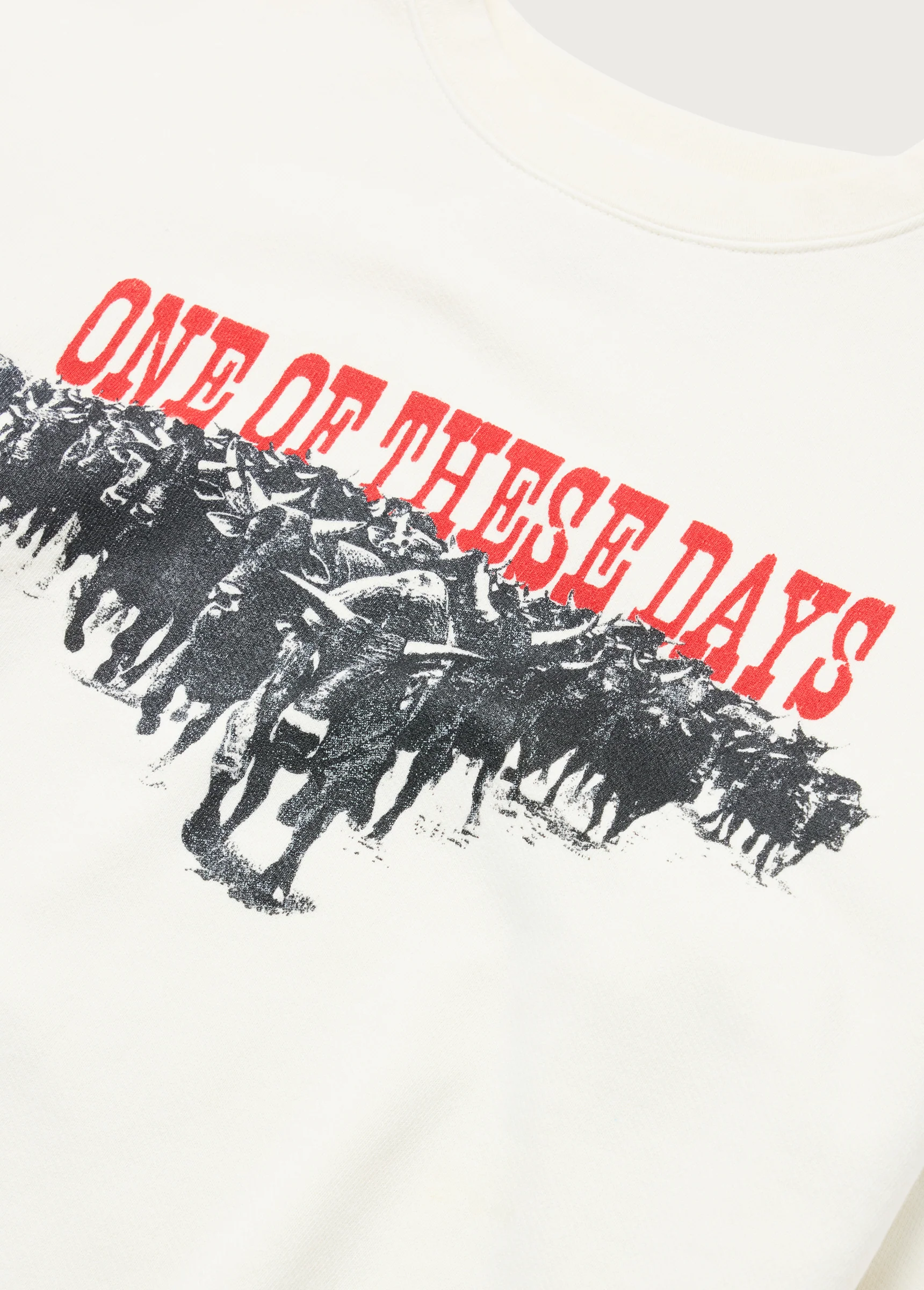 Stampede Crewneck | Bone - Image 3