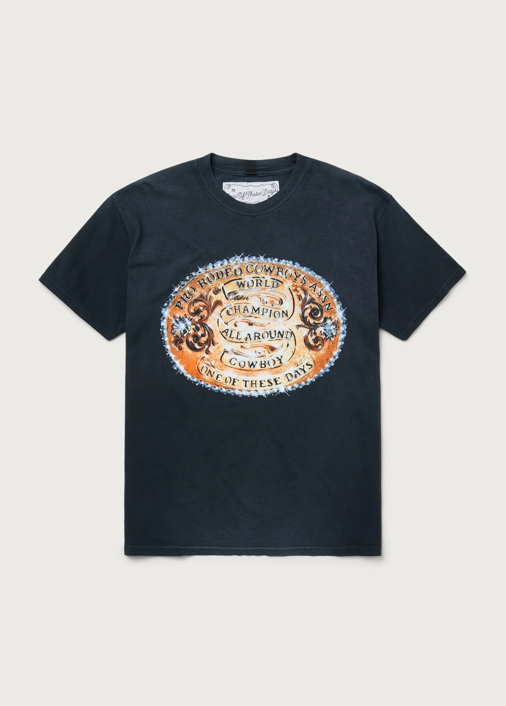 World Champions T-Shirt | Sun Faded Black